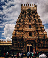 Accommodation near Shatrunjaya Hills Palitana